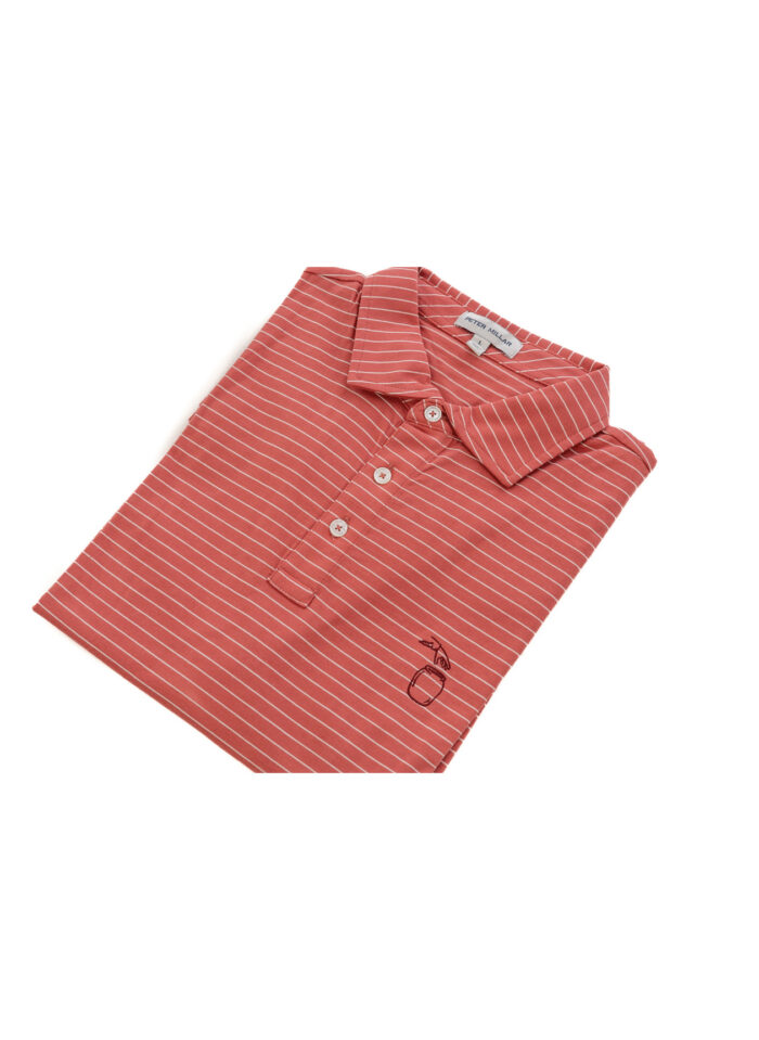 The CJG Cedar Mill Stripe Polo - Image 4