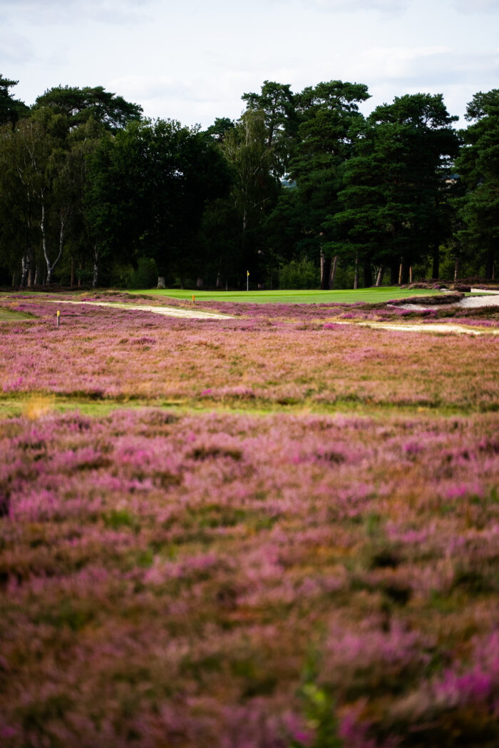 Barder Bowl at West Sussex – 13th August 2025