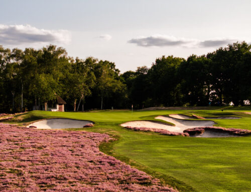 356 – Course Diaries: West Sussex w/ Tom MacKenzie