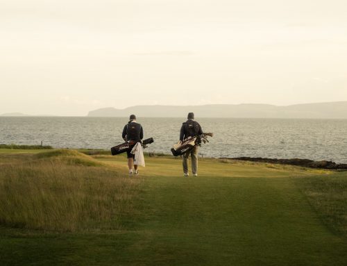 Isle of Arran eclectic 18, by Bernard DAIrwin